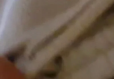 Solo.