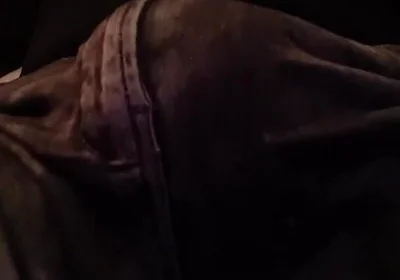 Stepfather on the Phone