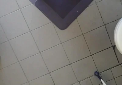 Video Examination of the Neck Holder for Ass
