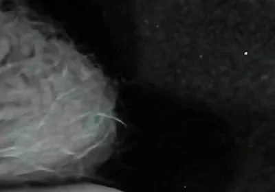Arc of Sperm, Solo Amateur, Fountain