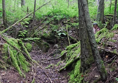 Gray Day Hiking