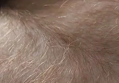 Anybody Want to Run Their Hands Over My Hairy Ginger Chest and Belly?