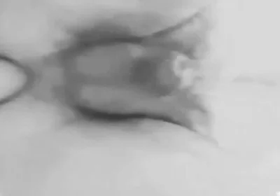 Anal Plaisure