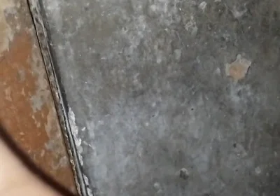 Indian Dick First Drop