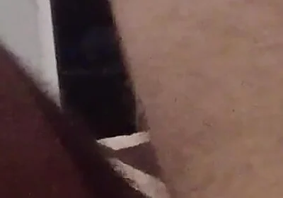 Dad Thighs and Feet. so Delicious.
