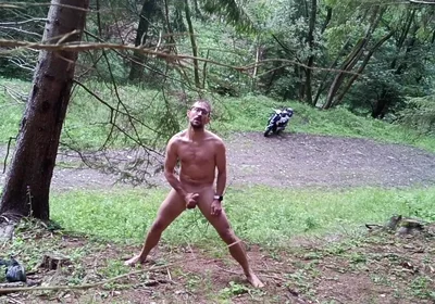 Wild Slovak Nature