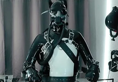 Rubber Pup Bound [pp Training]