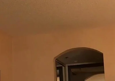 Bear Gets a Blowjob