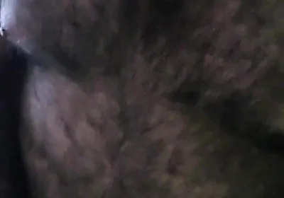 Bear Alone