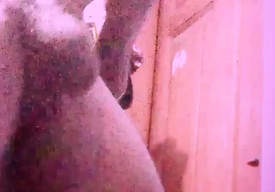 Multiple Cumshot in on Video