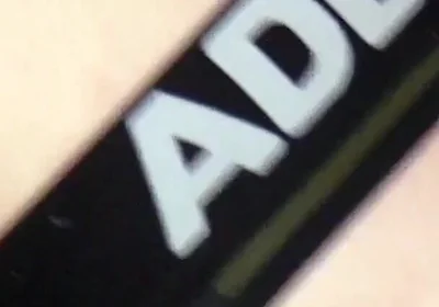 I Wait for My Master in the Cellar