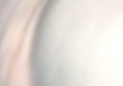 Black Breeders Adventures 04