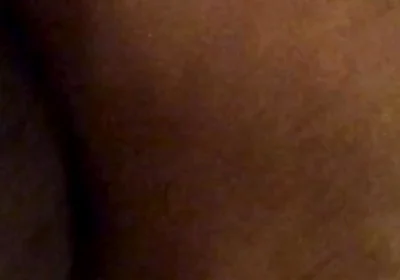 Black Breeders Adventures