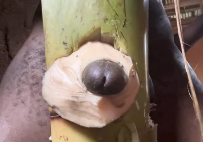 Hoter Way to Be Very Hard Strong Straight Cum Cute