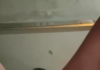 India Boy Hardcore Solo Ass Fly