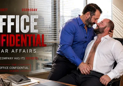 Office Confidential. Bear Affairs