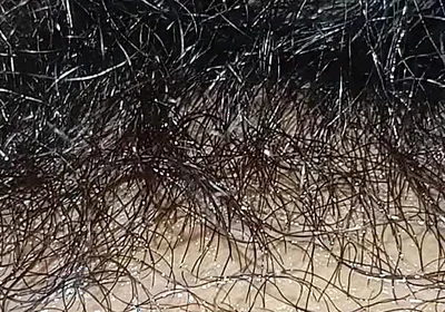 Handboy Masturbation After Frist Time