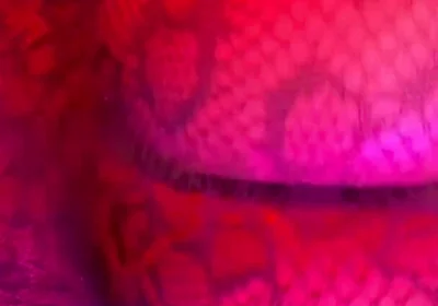 Big Booty