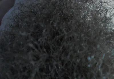 Hairy Pubic a Use Your Faces.
