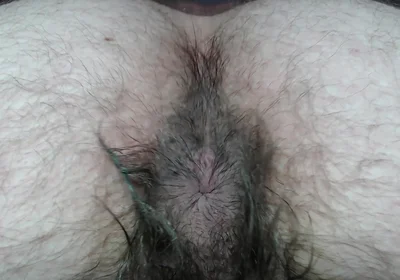 Cock Balls and Hairy Ass of Farts