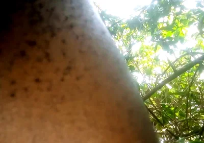 Travel bush