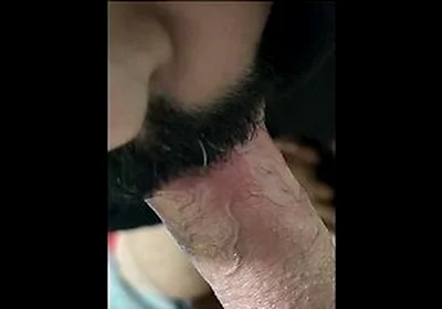 Arab Gay Sex Nick Taiz Sex Arab Sakhan Fateh Taiz Salb Banuti