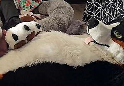 Pawslut Puppy Gets Back To Back Pawjobs With Massive 2nd Cumshot At The End