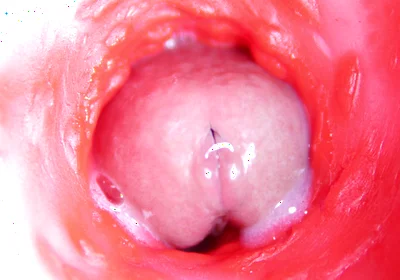 Camera Inside Anal: Almost Cum in Ass! Best Internal Asmr in 4K