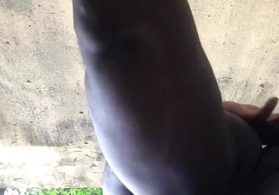 Hot Doggy