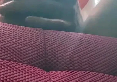 Camera Facing up From Floor See Head of 10 in Bwc Veiny