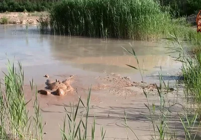 A Short Exploration of a New Mud Lake