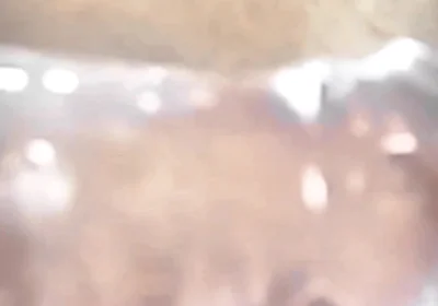 Who Orders Donuts with the Old Man's Penis