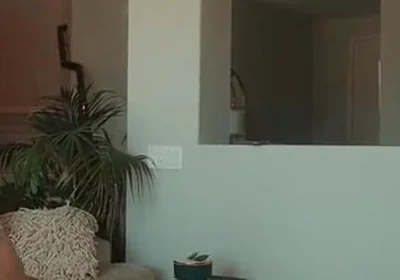 The Robery Was Cut and the Guy Got Punished