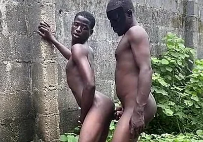 Bush Fucking Section