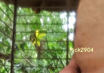 Playing with My Dick