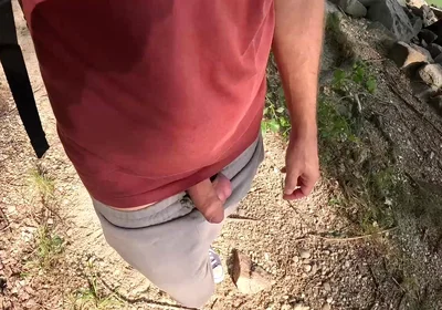 Surprise in the Foliage