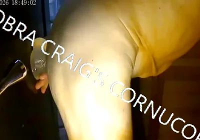 7-19-2026 Take It Fuckin Easy Cobra