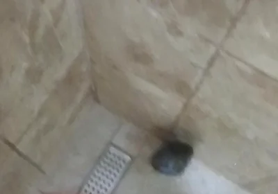 Masturbation Wash