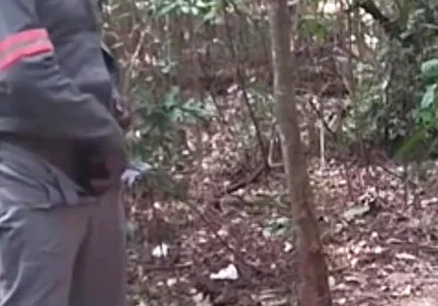 I Went to the Lagoon to Take a Piss and Masturbate.