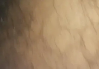 Virgin of the Buttocks