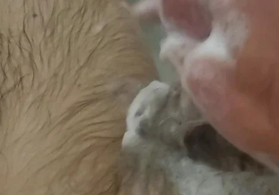 Bathroom Fun
