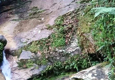 On a Walk to the River - Masturbation and Outdoor Urination
