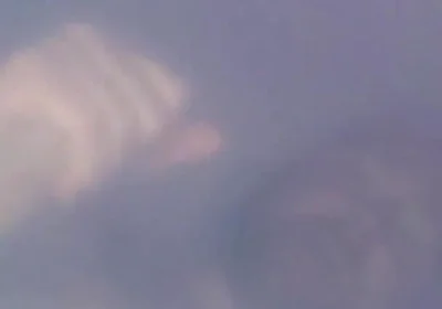 Cumshot