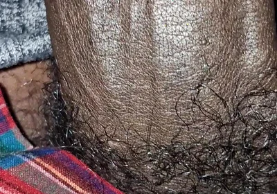 Big Chocolate Meat