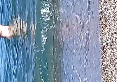 The Water Is Cold Very Cold
