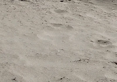 On the Beach Nude