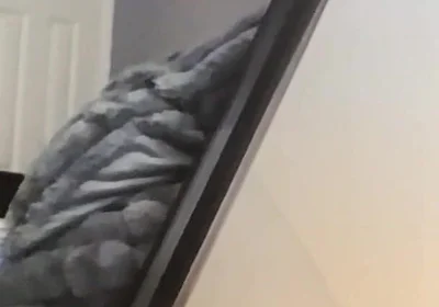 Deep Throat Clips