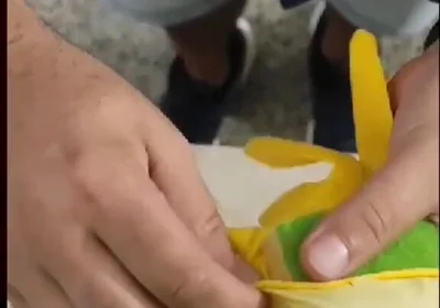 DIY Pussy