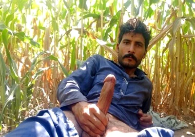 Asian Young Boy Big Cock POV