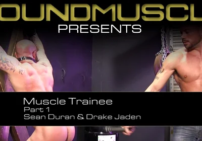 Muscle Trainee - Part 1